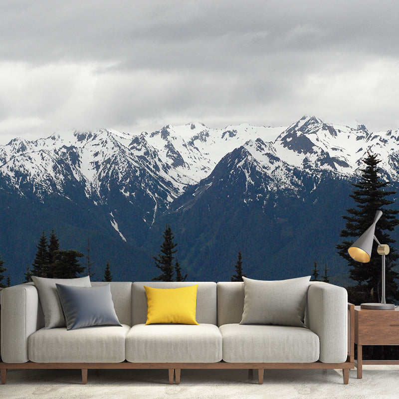 Photography Stain Resistant Mural Wallpaper Mountain Range Indoor Wall Mural