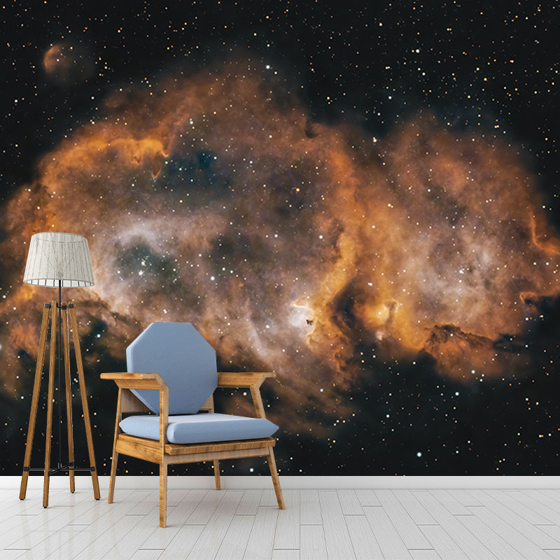 Modern Photography Mural Wallpaper Cosmos Living Room Wall Mural