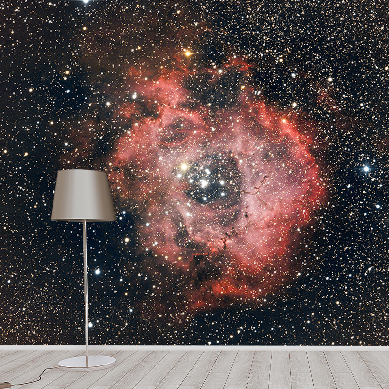 Modern Photography Mural Wallpaper Cosmos Living Room Wall Mural