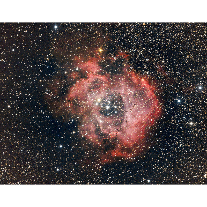 Modern Photography Mural Wallpaper Cosmos Living Room Wall Mural