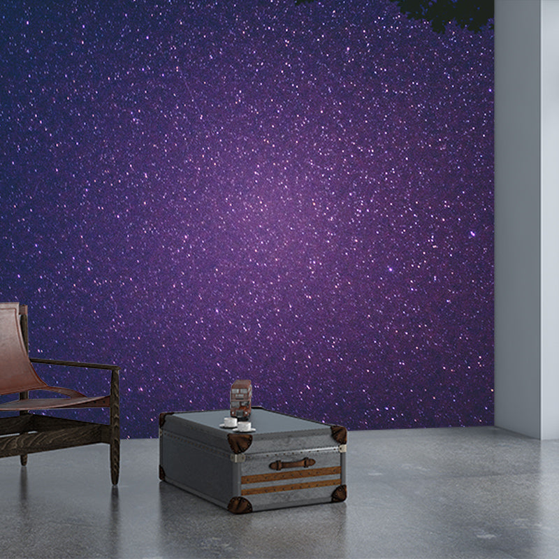 Environmental Photography Mural Wallpaper Cosmos Indoor Wall Mural
