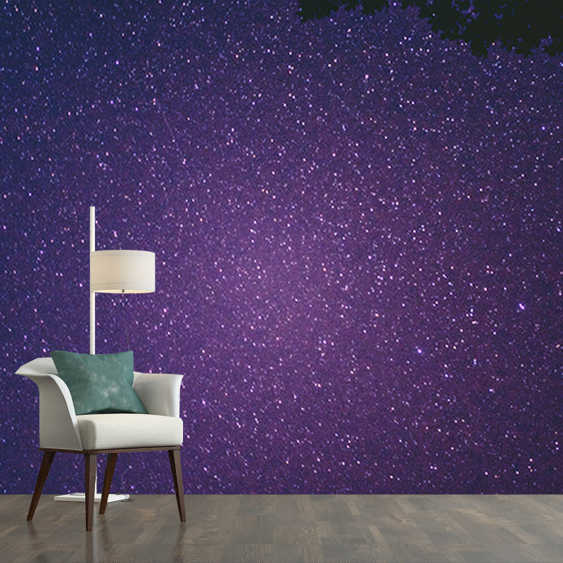 Environmental Photography Mural Wallpaper Cosmos Indoor Wall Mural