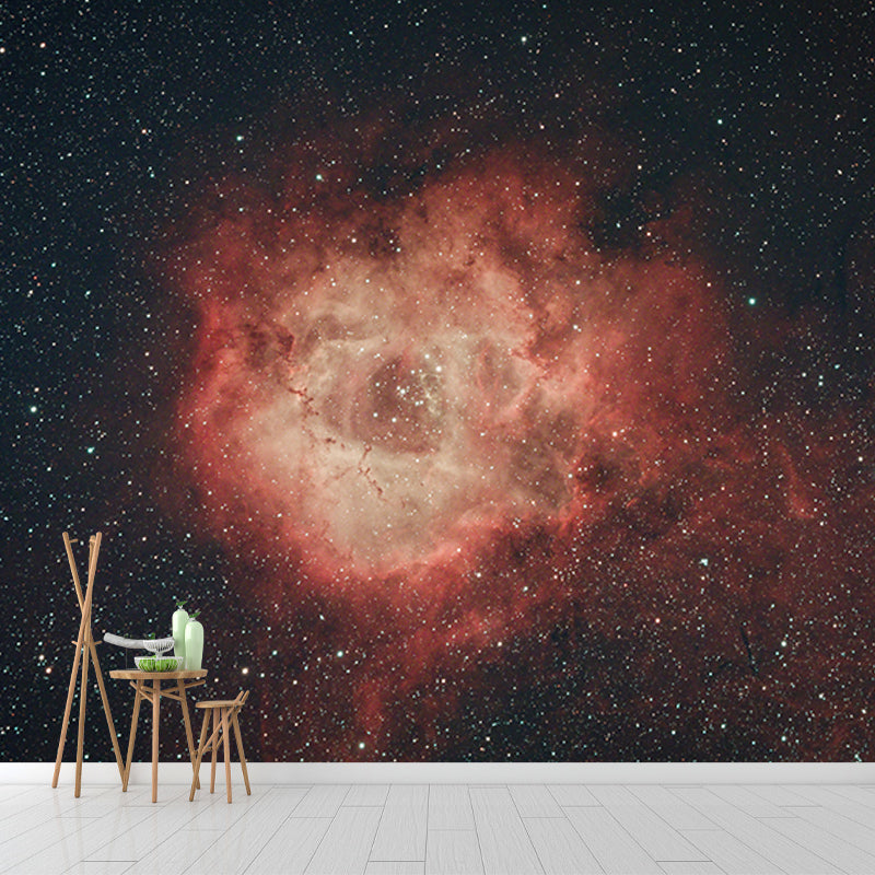 Environmental Photography Mural Wallpaper Cosmos Indoor Wall Mural
