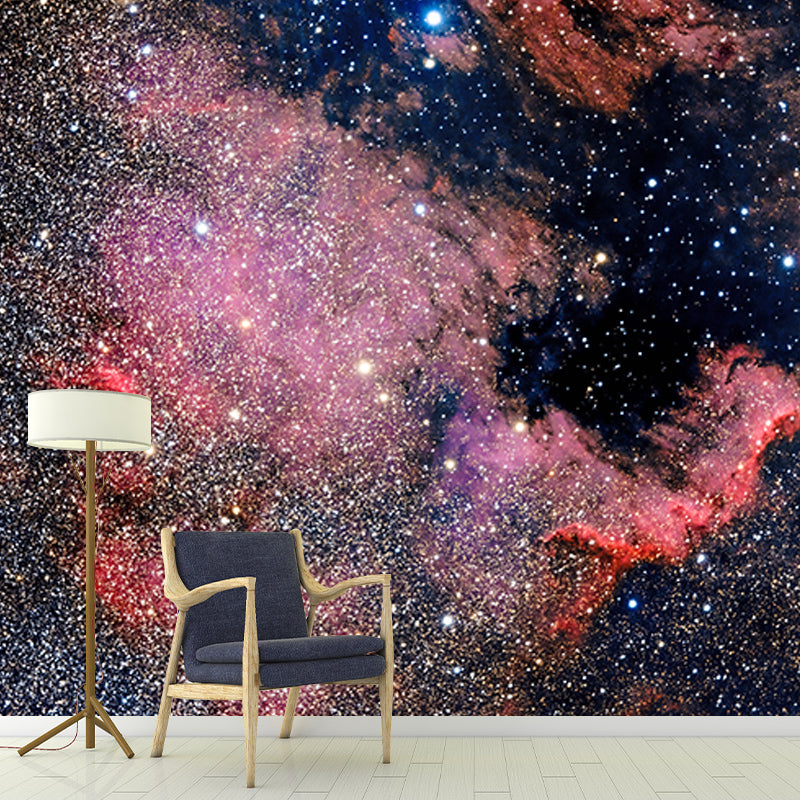 Environmental Photography Mural Wallpaper Cosmos Indoor Wall Mural