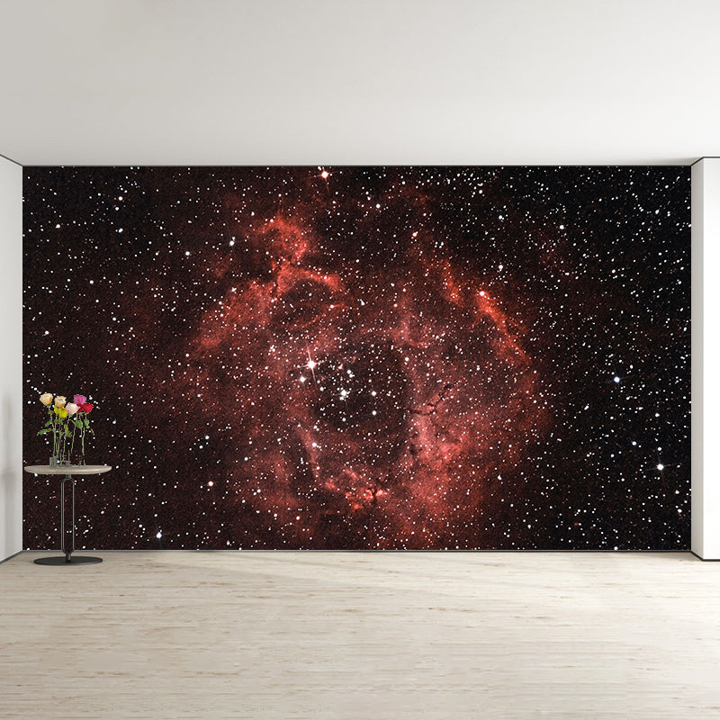 Modern Style Photography Wall Mural Wallpaper Cosmos Bedroom Wall Mural