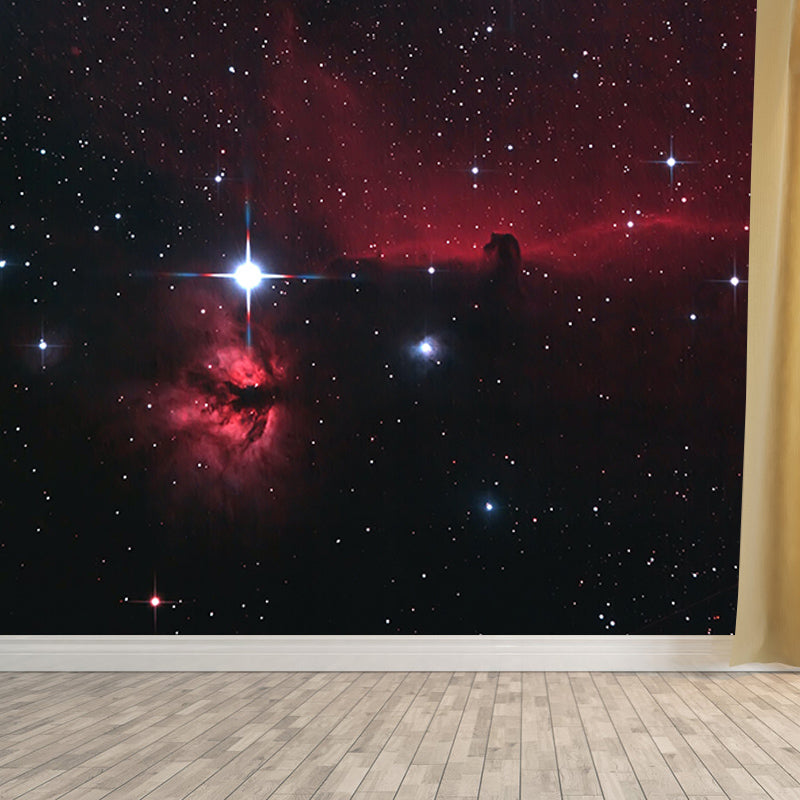 Modern Style Photography Wall Mural Wallpaper Cosmos Bedroom Wall Mural