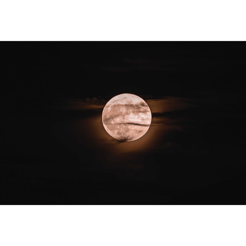 Photography Environment Friendly Mural Wallpaper Cosmos Bedroom Wall Mural