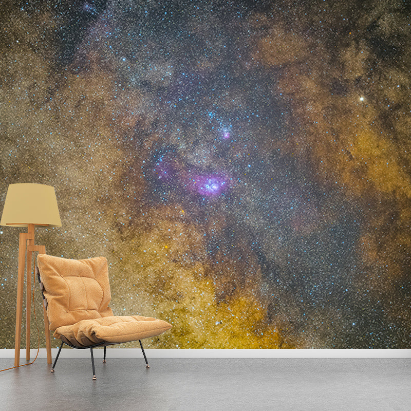 Beautiful Photography Mural Wallpaper Cosmos Decorative Indoor Wall Mural