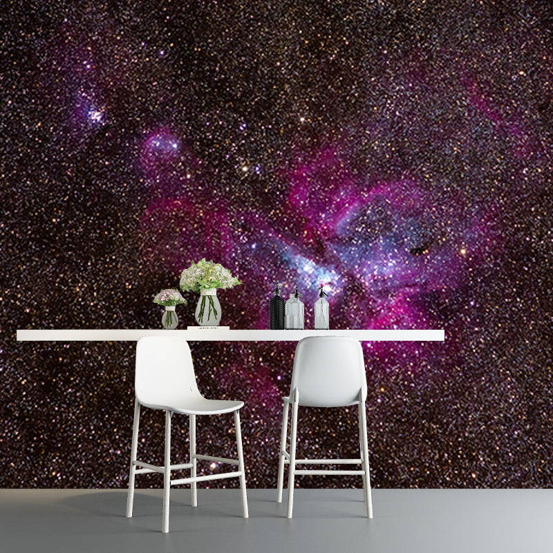 Photography Stain Resistant Mural Wallpaper Cosmos Living Room Wall Mural