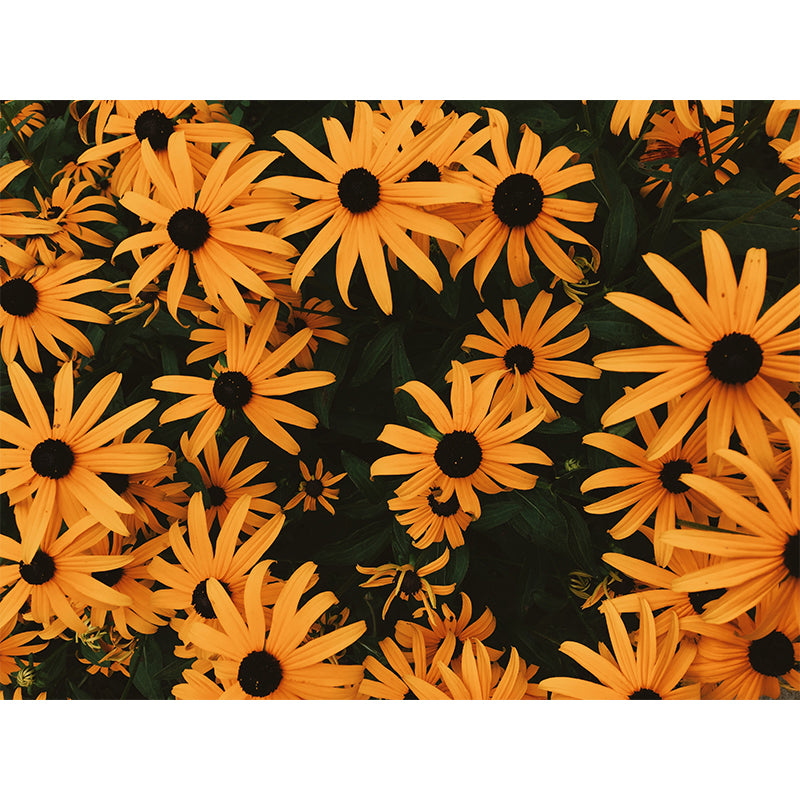 Environment Friendly Resistant Mural Wallpaper Beautiful Flowers Living Room Wall Mural