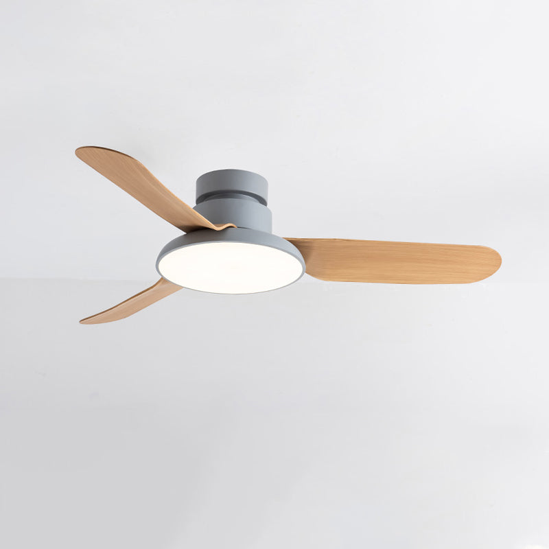 Ceiling Fan Lamp Simplicity Style LED Ceiling Mounted Light for Living Room