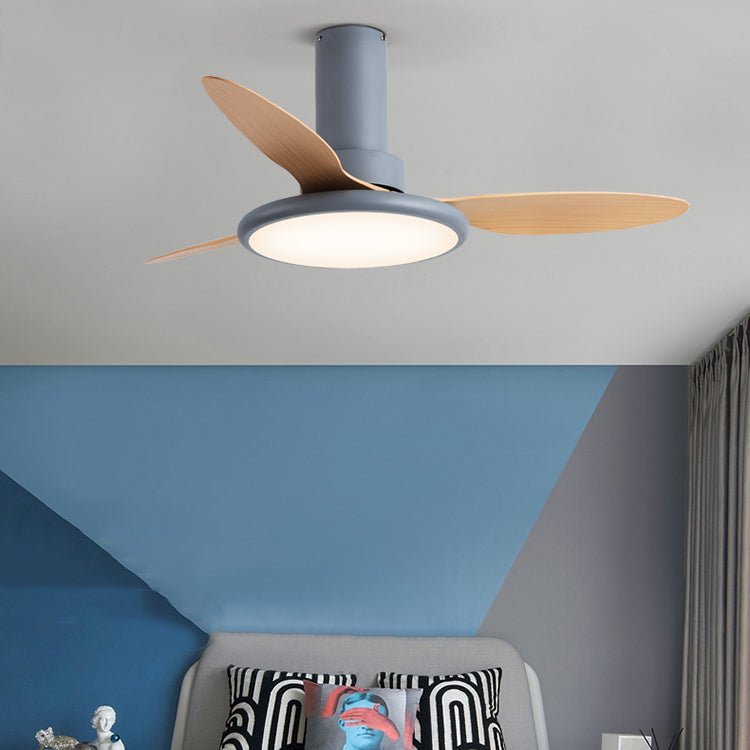 Ceiling Fan Lamp Simplicity Style LED Ceiling Mounted Light for Living Room