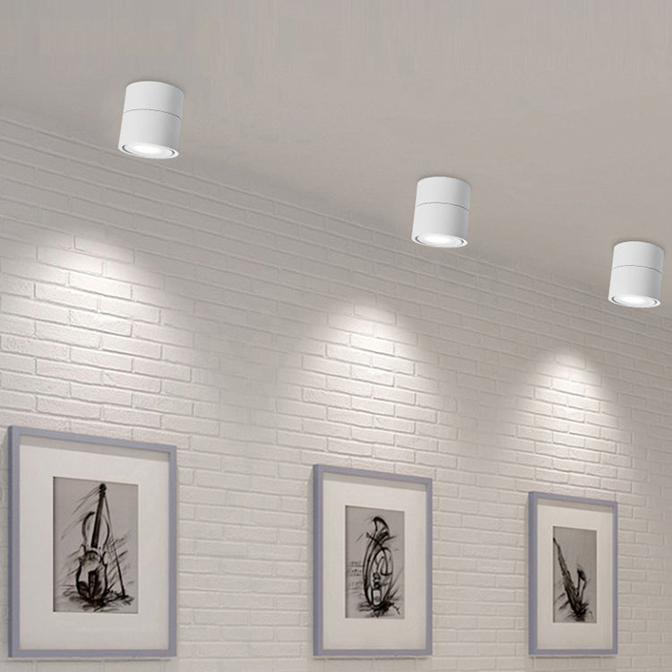 Modern Simple Style Metal Ceiling Light Adjustable Cylinder Shape Ceiling Lamp for Bedroom