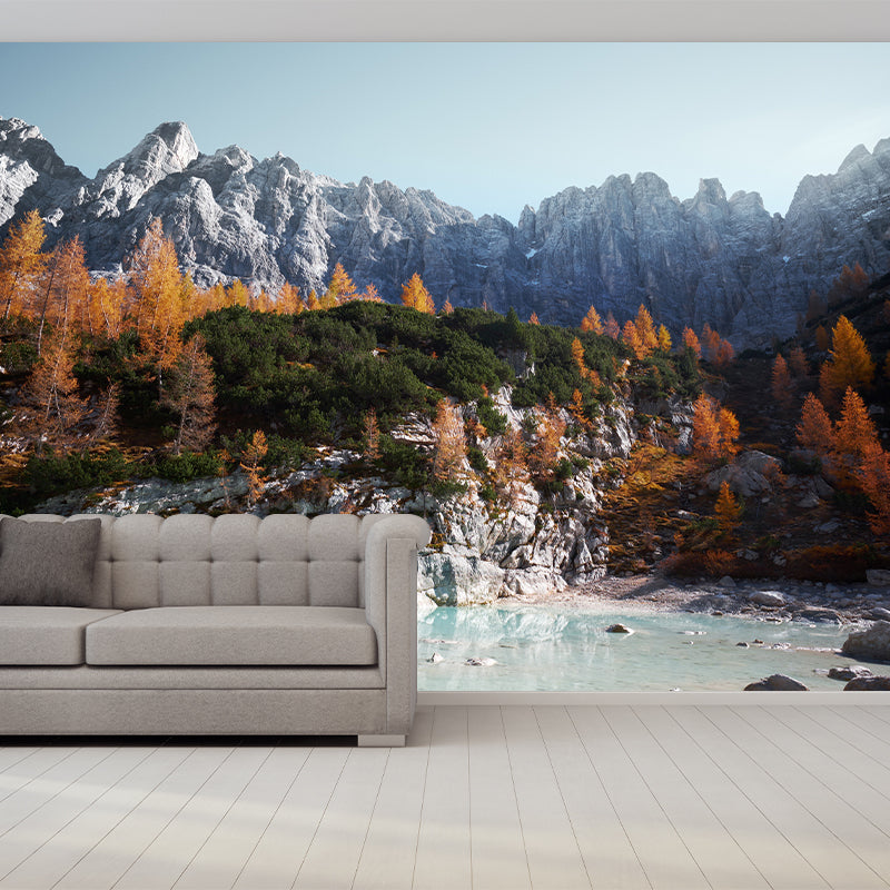 Photography Stain Resistant Wallpaper Forest Scenery Living Room Wall Mural