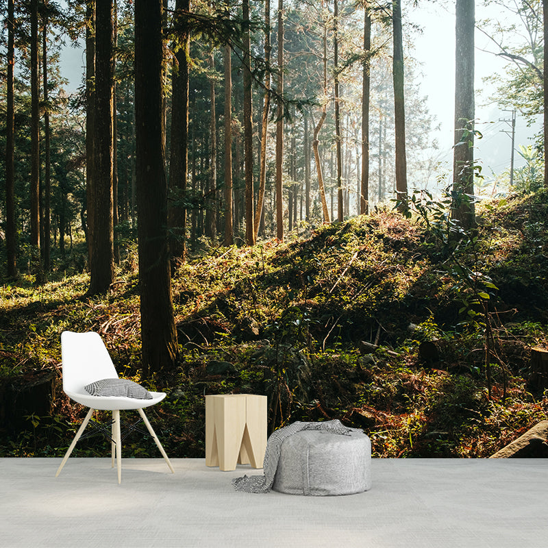 Environmental Wall Mural Wallpaper Forest Scenery Living Room Wall Mural
