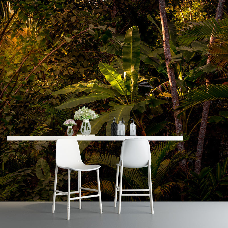 Modern Style Photography Wall Mural Wallpaper Forest Bedroom Wall Mural