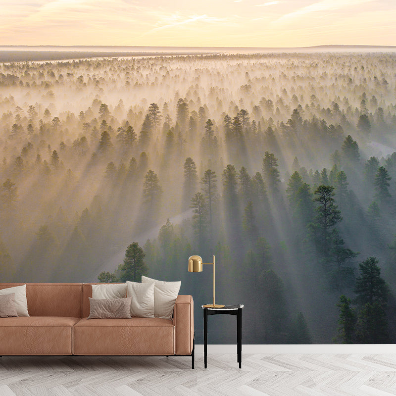 Modern Style Photography Wall Mural Wallpaper Forest Bedroom Wall Mural