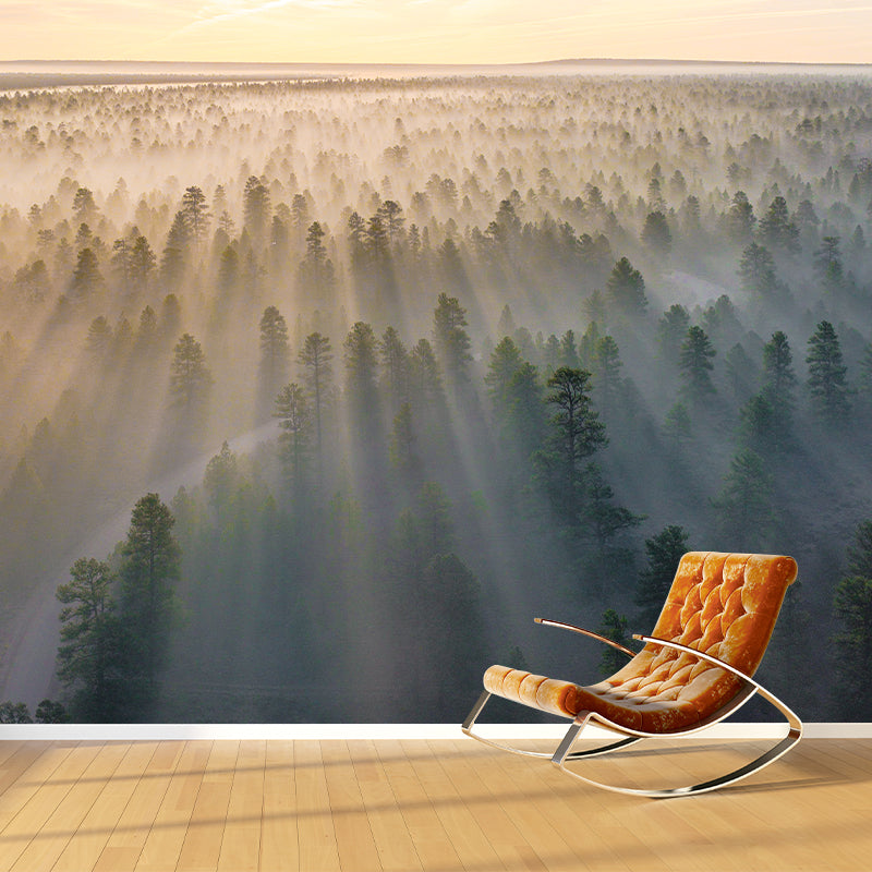 Modern Style Photography Wall Mural Wallpaper Forest Bedroom Wall Mural