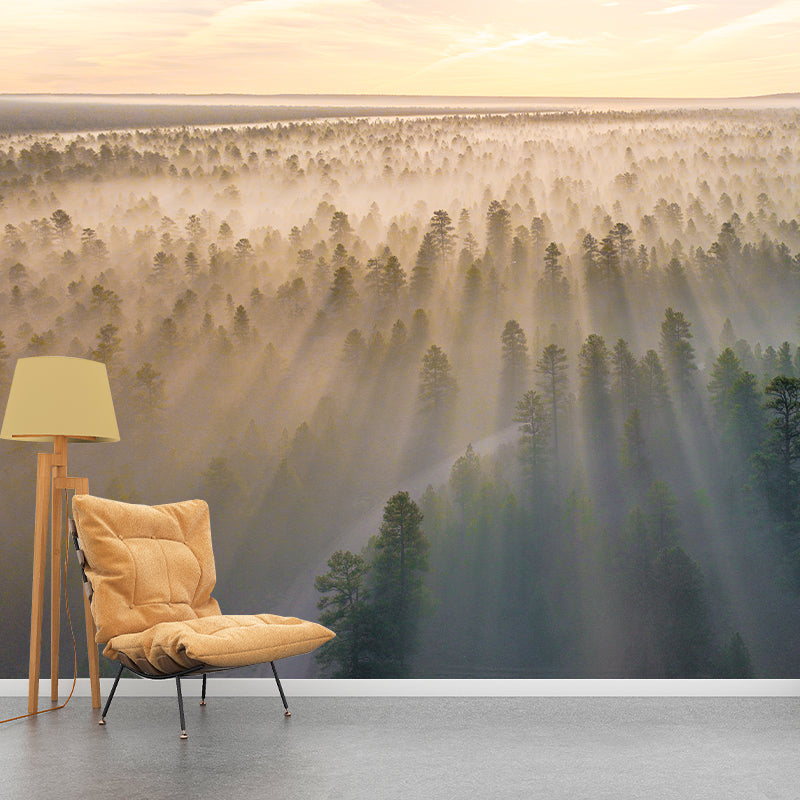 Modern Style Photography Wall Mural Wallpaper Forest Bedroom Wall Mural