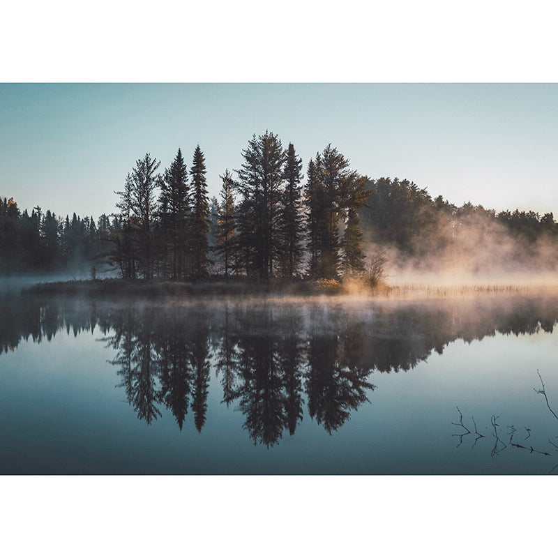 Photography Environment Friendly Mural Wallpaper Woods Bedroom Wall Mural