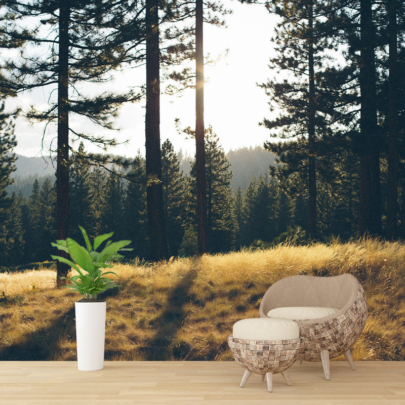 Photography Environment Friendly Mural Wallpaper Woods Bedroom Wall Mural