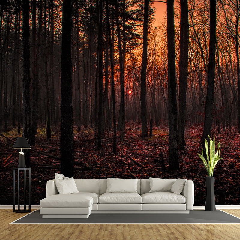 Photography Stain Resistant Mural Wallpaper Forest Living Room Wall Mural