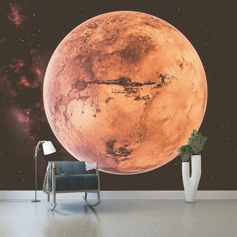 Washable Stain Resistant Mural Wallpaper Universe Indoor Wall Mural