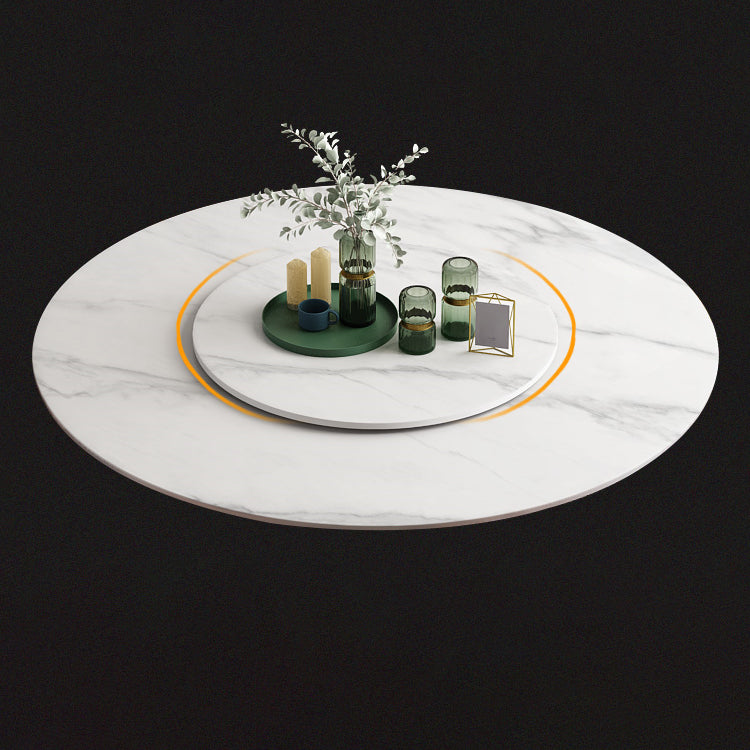 Sintered Stone Top Rotatable Round Table Modern Dining Table with Pedestal Base