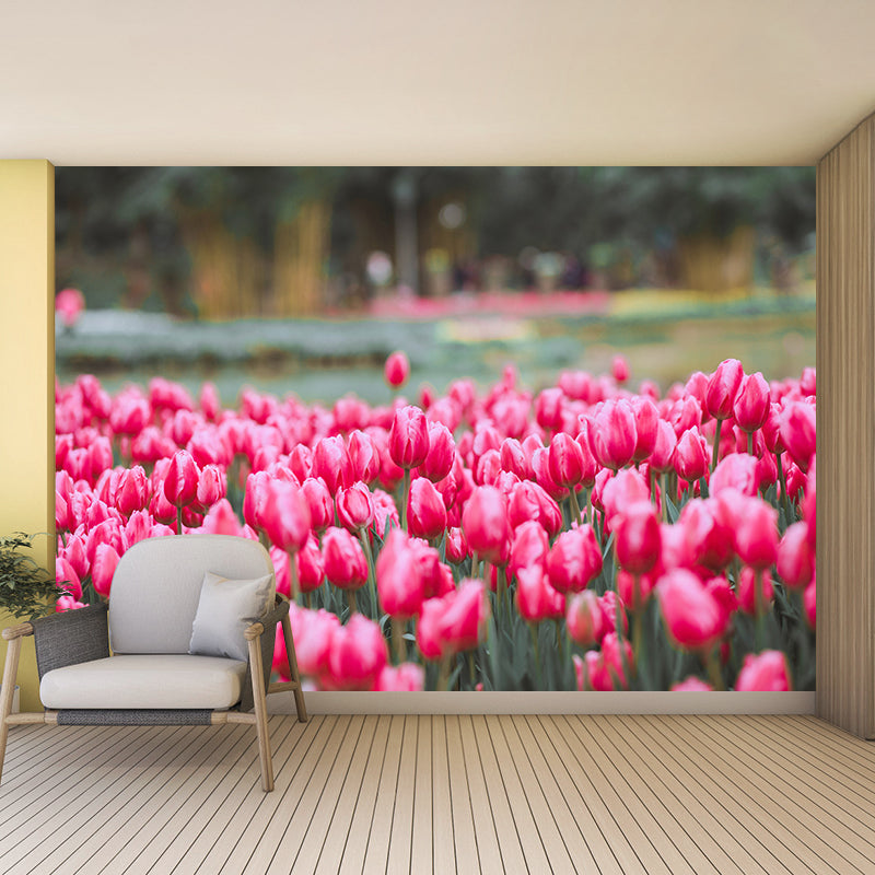 Photography Environment Friendly Mural Wallpaper Flower Field Bedroom Wall Mural