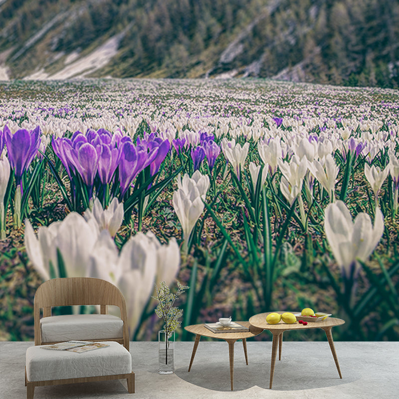 Photography Environment Friendly Mural Wallpaper Flower Field Bedroom Wall Mural