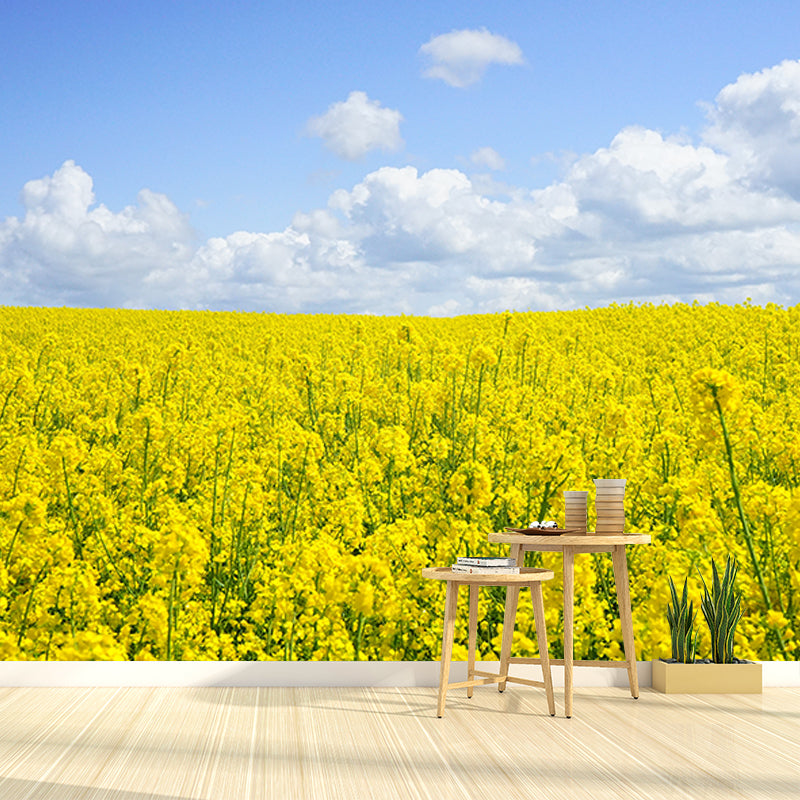 Photography Flower Field Mural Mildew Resistant Wallpaper Sleeping Room Wall Mural