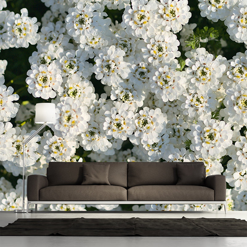 Photography Stain Resistant Mural Wallpaper Flower Field Living Room Wall Mural