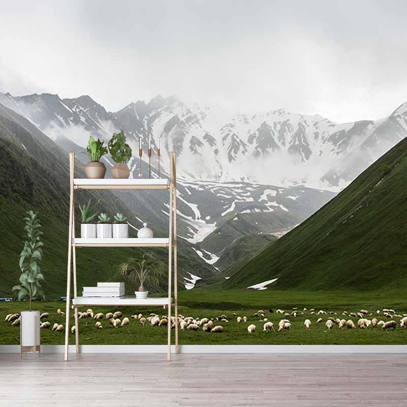 Environmental Photography Mural Wallpaper Mountain Range Indoor Wall Mural