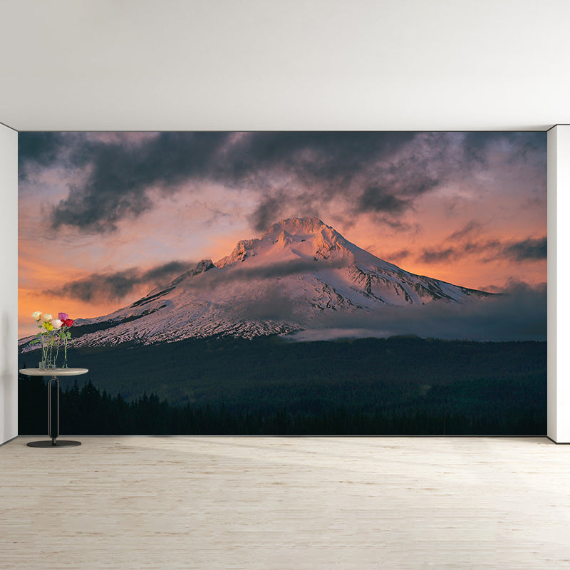 Photography Stain Resistant Mural Wallpaper Mountain Range Living Room Wall Mural