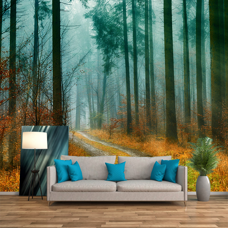Modern Photography Forest Stain Resistant Wallpaper Living Room Wallpaper