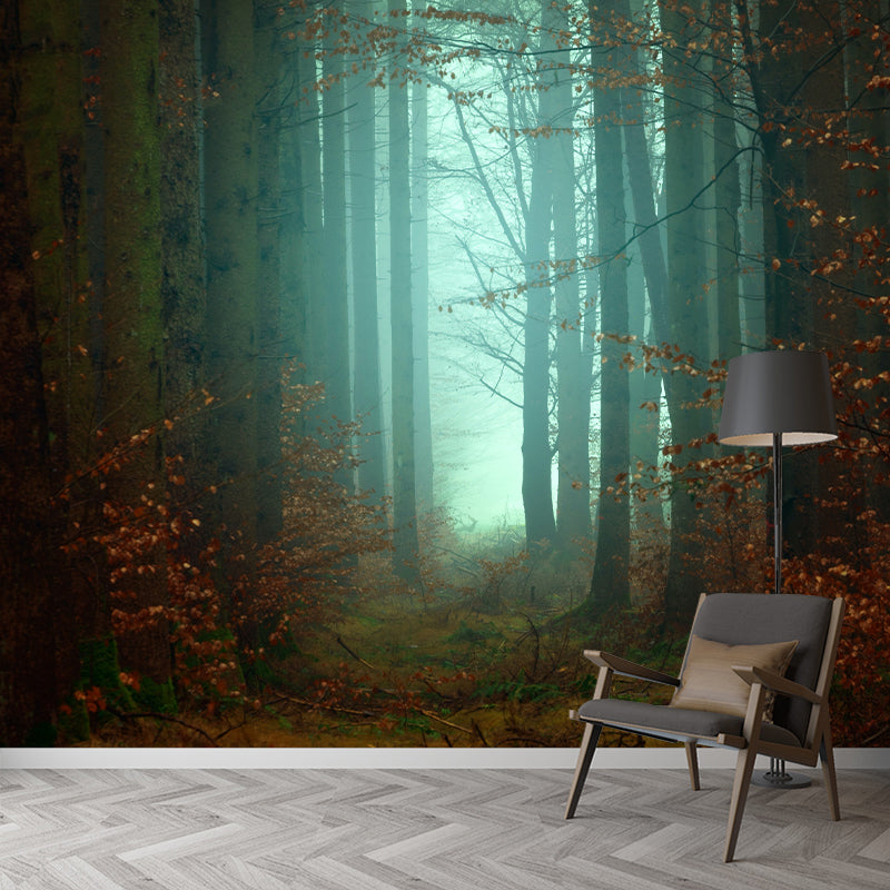 Modern Photography Forest Stain Resistant Wallpaper Living Room Wallpaper