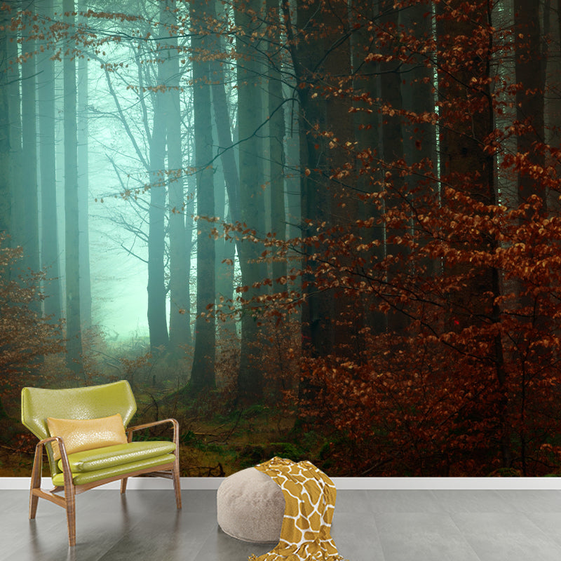 Modern Photography Forest Stain Resistant Wallpaper Living Room Wallpaper