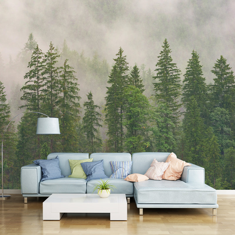 Photography Forest Environment Friendly Wall Mural Drawing Room Wallpaper