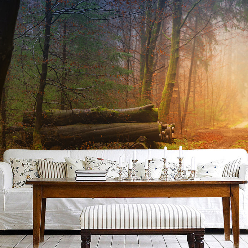 Photography Forest Environment Friendly Wall Mural Drawing Room Wallpaper