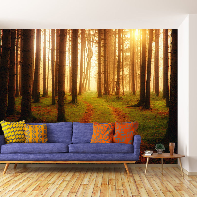 Stain Resistant Photography Forest Pattern Wallpaper Home Decoration Wallpaper