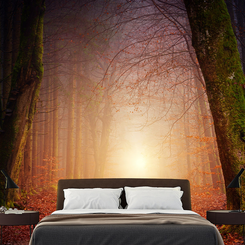 Woods Photography Mildew Resistant Wallpaper Drawing Room Wallpaper