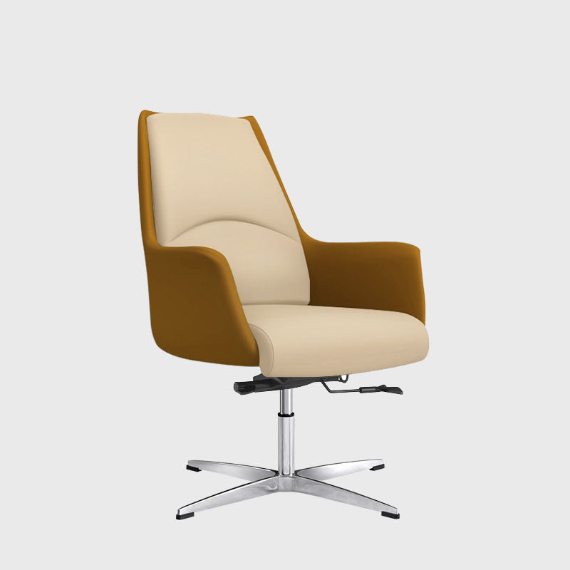 Modern & Contemporary Executive Chair Fixed Arms Ergonomic Managers Chair