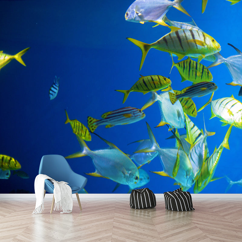 Decorative Underwater Photography Wall Mural Drawing Room Wall Mural