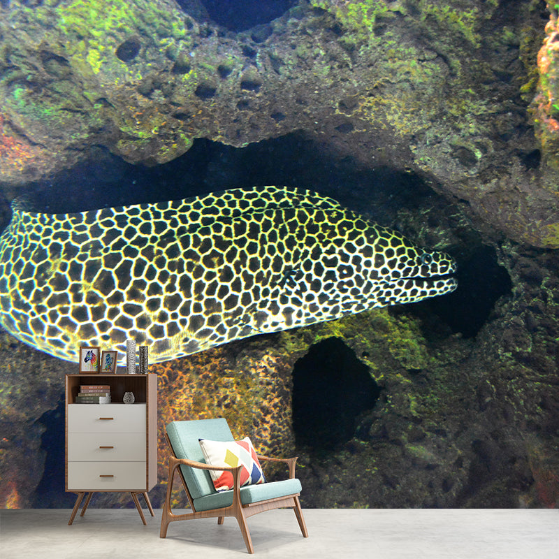 Environmental Photography Undersea Wallpaper Home Decoration Wallpaper