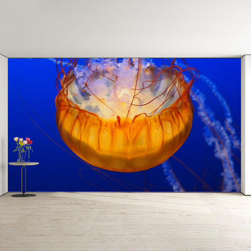 Environment Friendly Underwater Photography Living Room Wall Mural