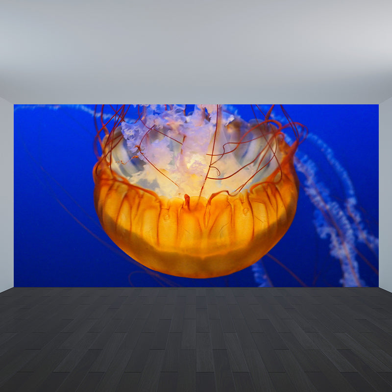 Environment Friendly Underwater Photography Living Room Wall Mural