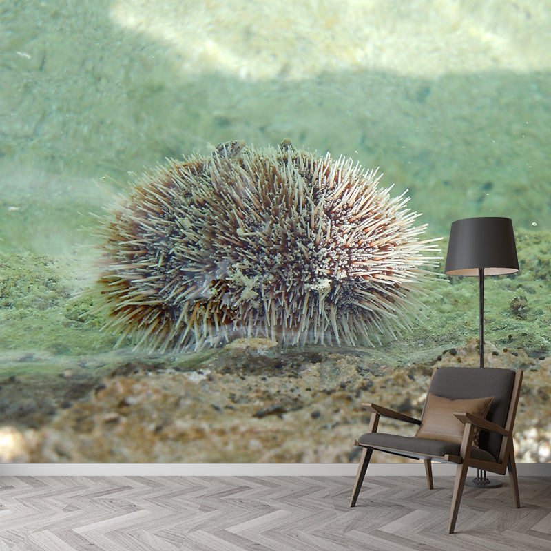 Photography Stain Resistant Wallpaper Underwater Living Room Wall Mural
