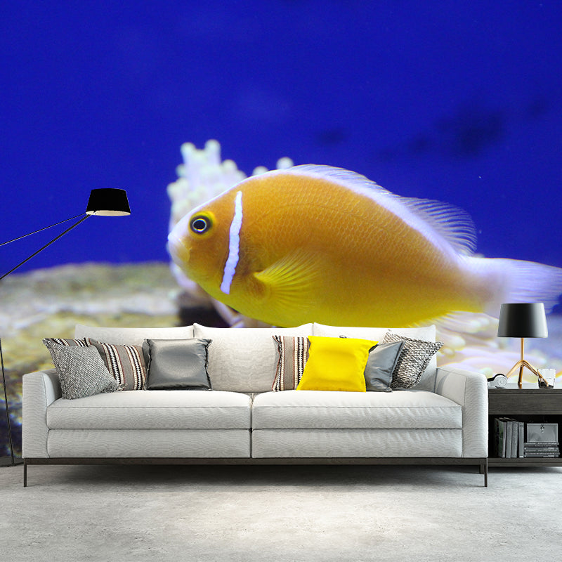Decorative Undersea Photography Wallpaper Living Room Wallpaper