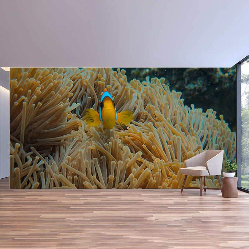 Underwater Photography Stain Resistant Wall Mural Living Room Wallpaper