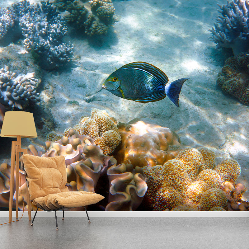Underwater Photography Stain Resistant Wall Mural Living Room Wallpaper